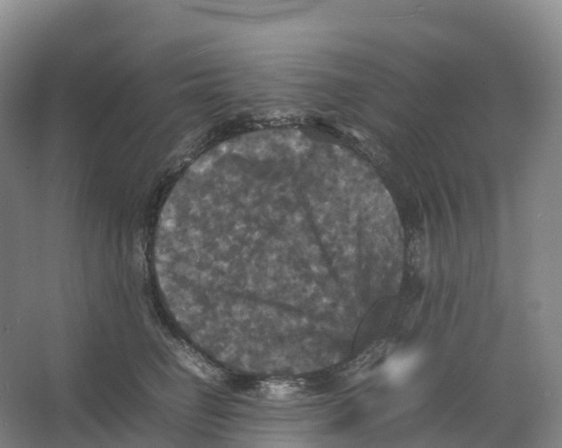 X0000066540662200604141907