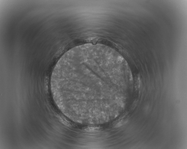 X0000066540664200604141907