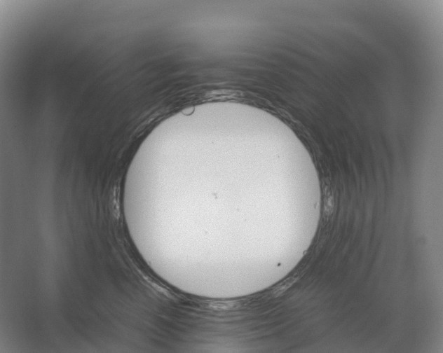 X0000066540666200604141907
