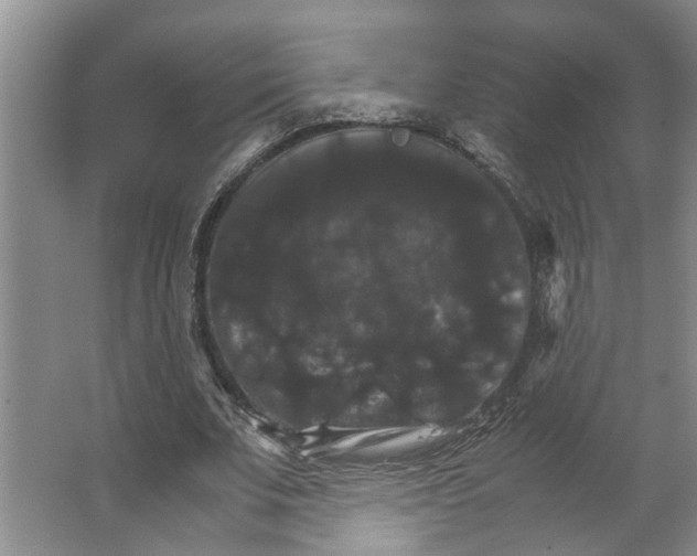 X0000066540679200604141906