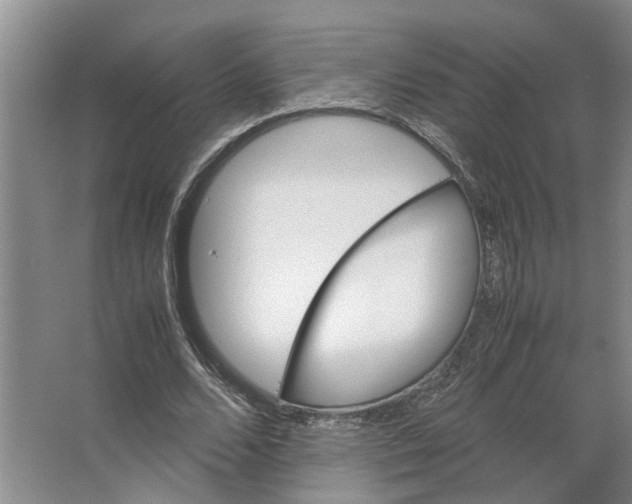 X0000066540680200604141906