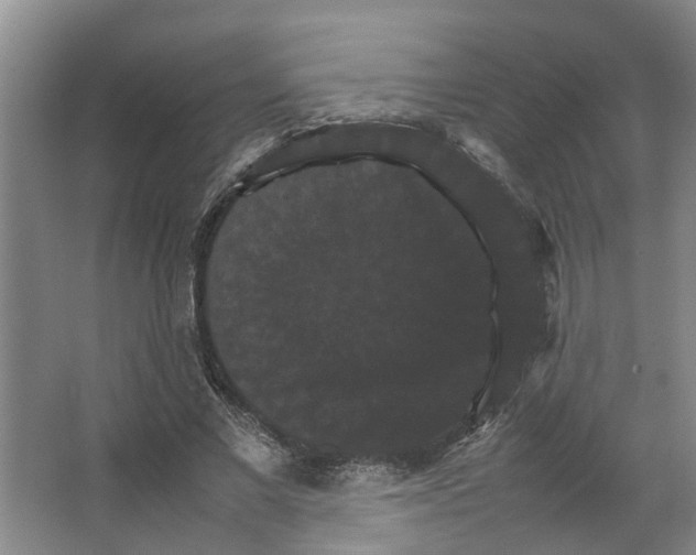 X0000066540685200604141906