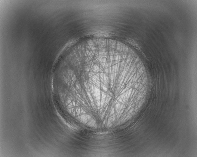 X0000066540686200604141906