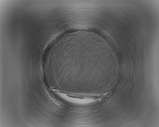 X0000066540688200604141906