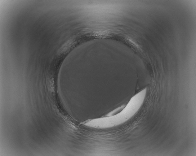 X0000066540689200604141906