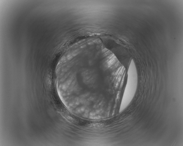 X0000066540691200604141906
