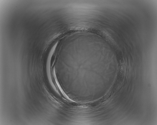 X0000066540692200604141906