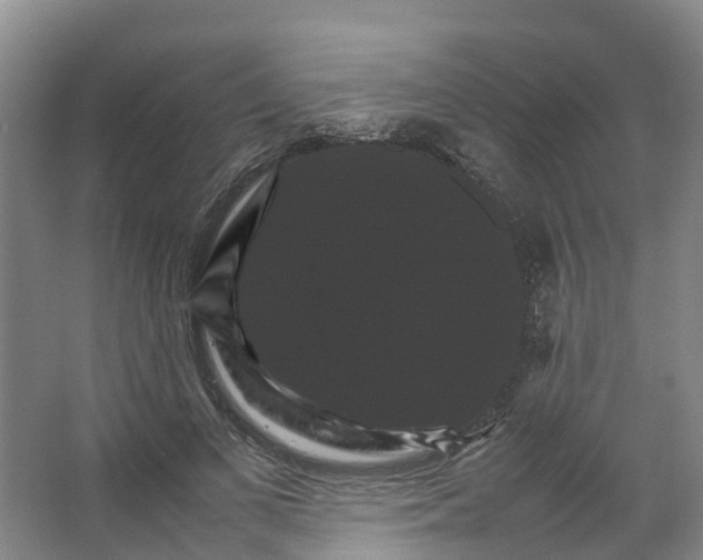 X0000066540693200604141906