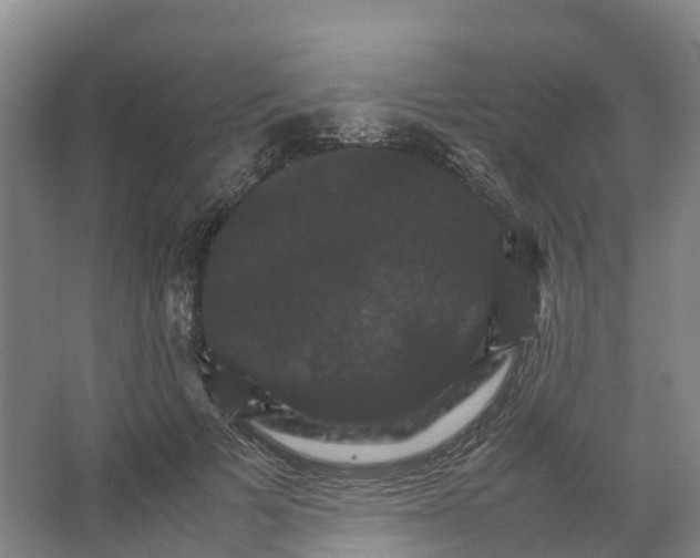 X0000066540697200604141906