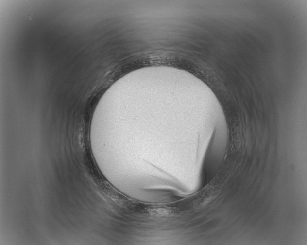 X0000066540698200604141906