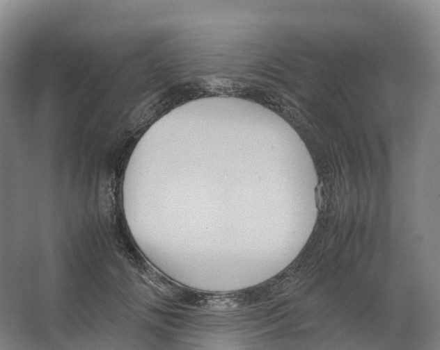 X0000066540702200604141906