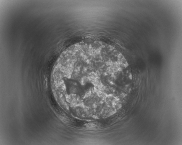 X0000066540703200604141906