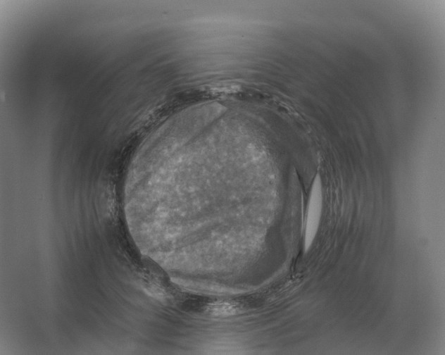 X0000066540704200604141906