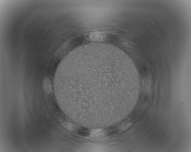 X0000066540705200604141905