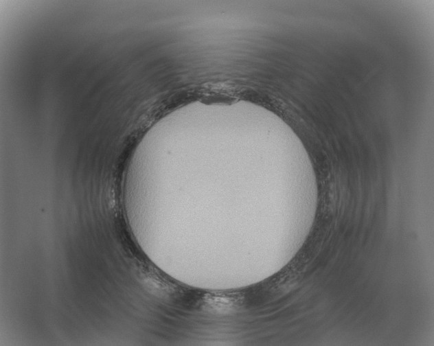 X0000066540706200604141905