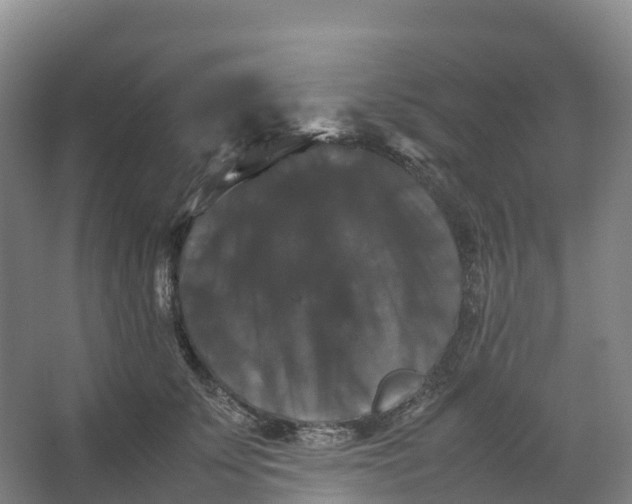 X0000066540707200604141905