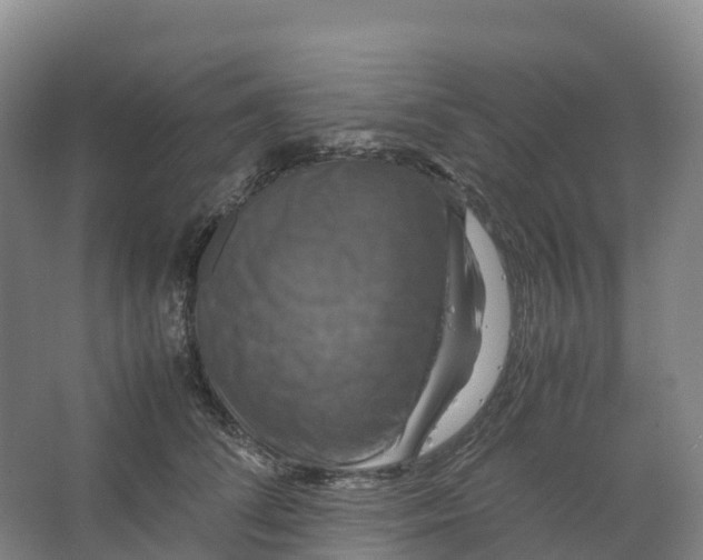 X0000066540708200604141905