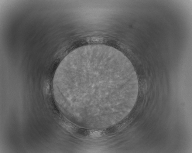 X0000066540709200604141905