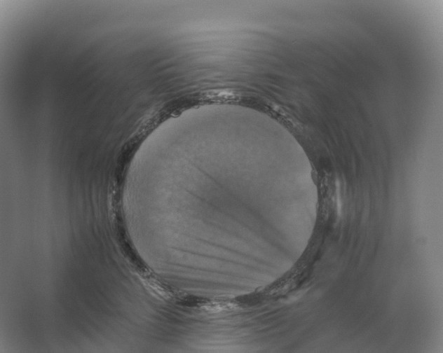 X0000066540712200604141905