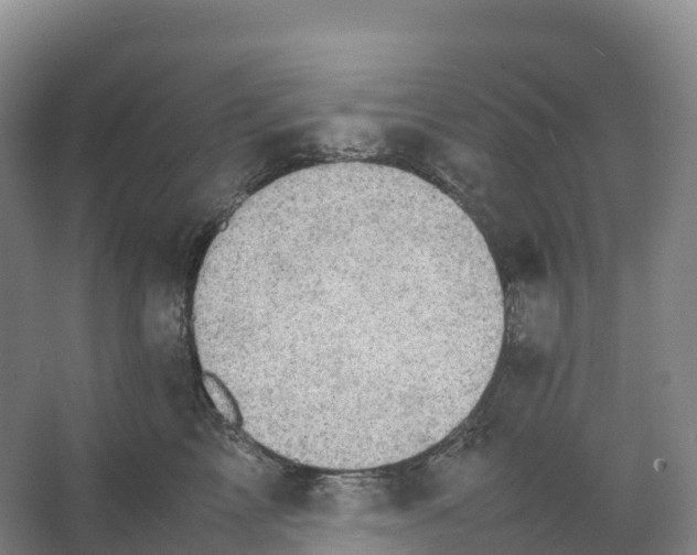 X0000066540713200604141905