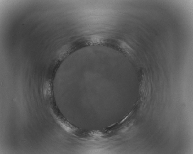 X0000066540715200604141905