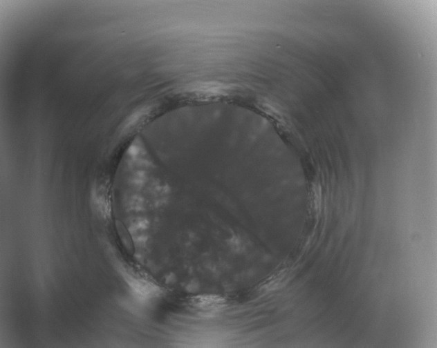 X0000066540719200604141905