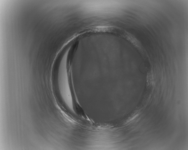 X0000066540722200604141904