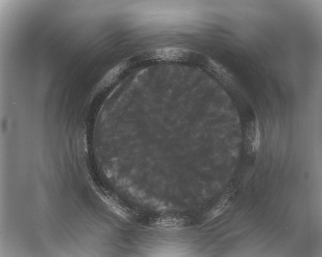 X0000066540734200604141905