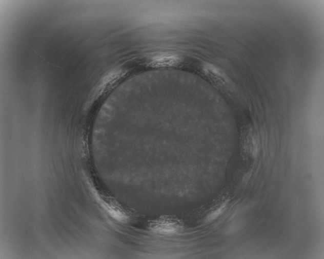 X0000066540743200604141905