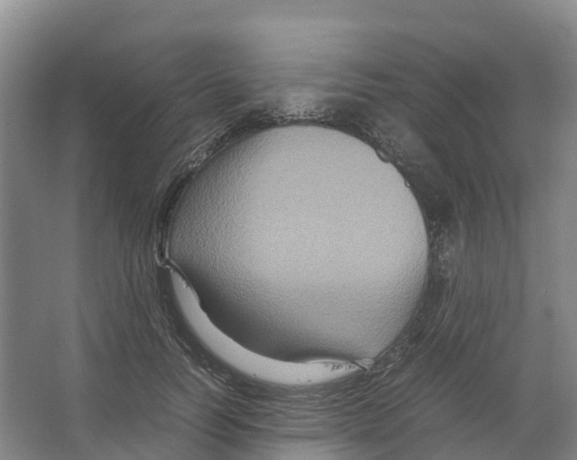 X0000066540746200604141905