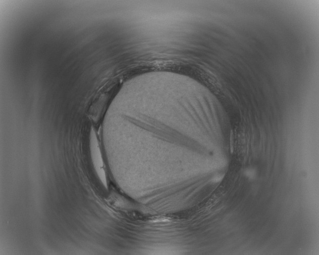 X0000066540750200604141905