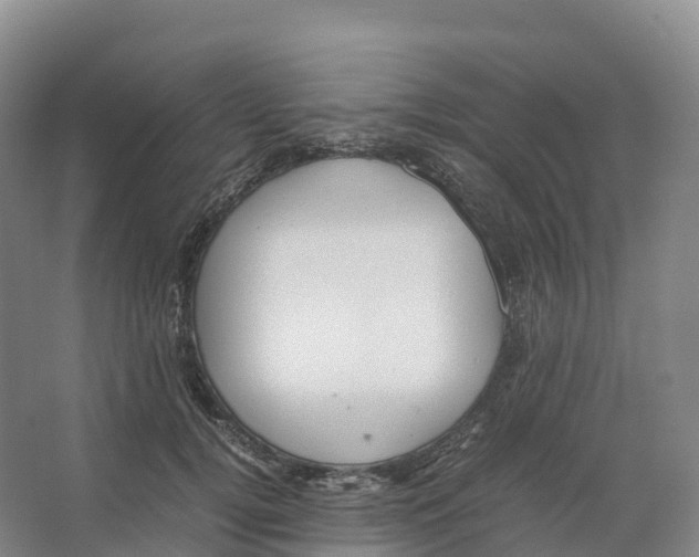 X0000066540752200604141905