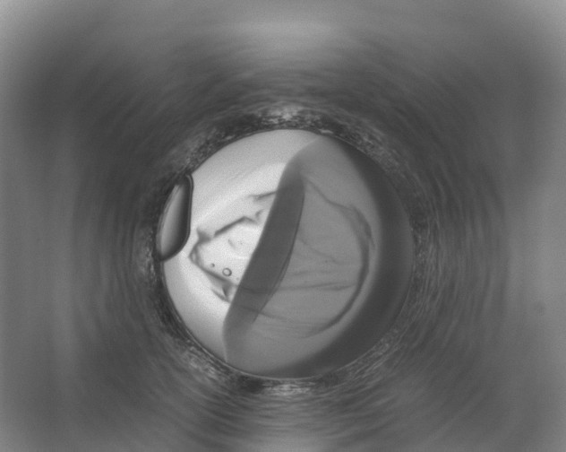 X0000066540754200604141905