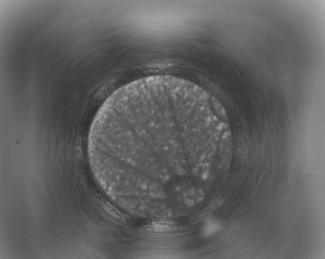 X0000066540758200604141905