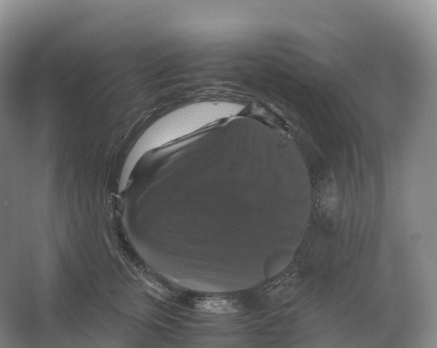 X0000066540759200604141905