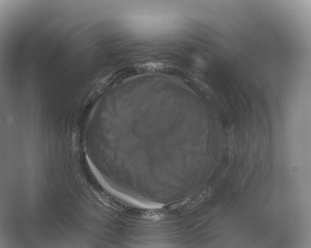 X0000066540760200604141905