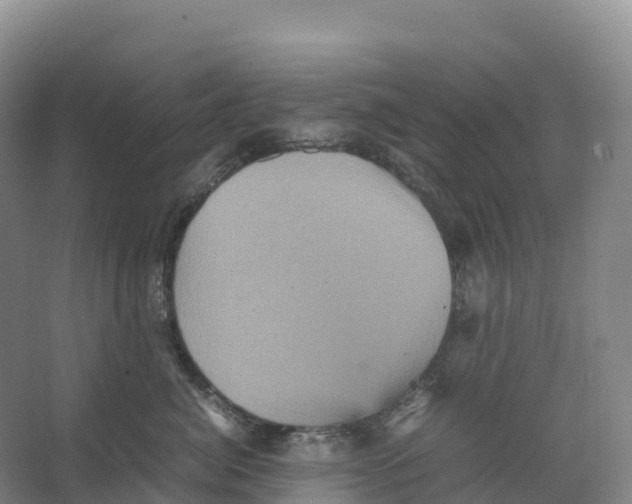 X0000066540764200604141905