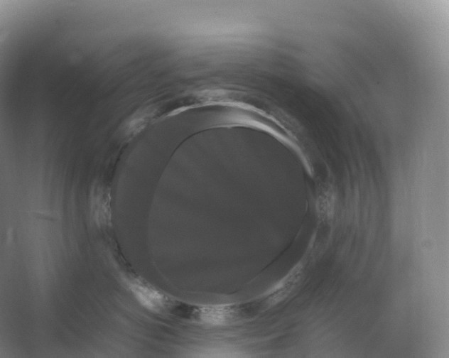 X0000066540766200604141905