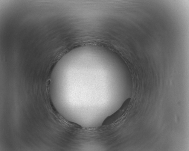 X0000066540768200604141905
