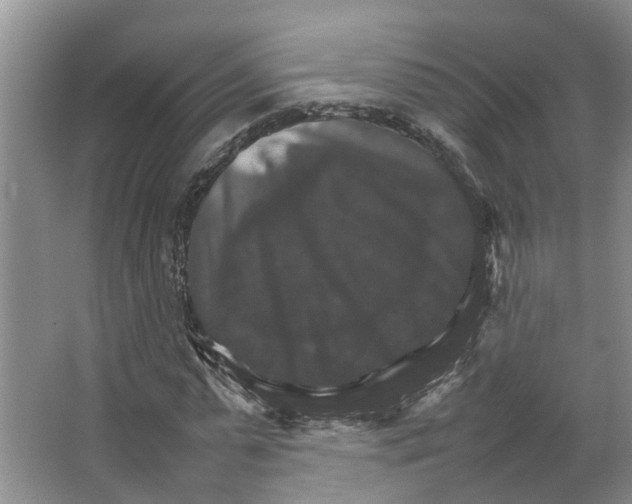 X0000066540775200604141904