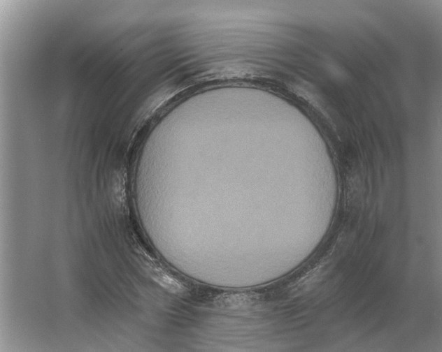 X0000066540778200604141904