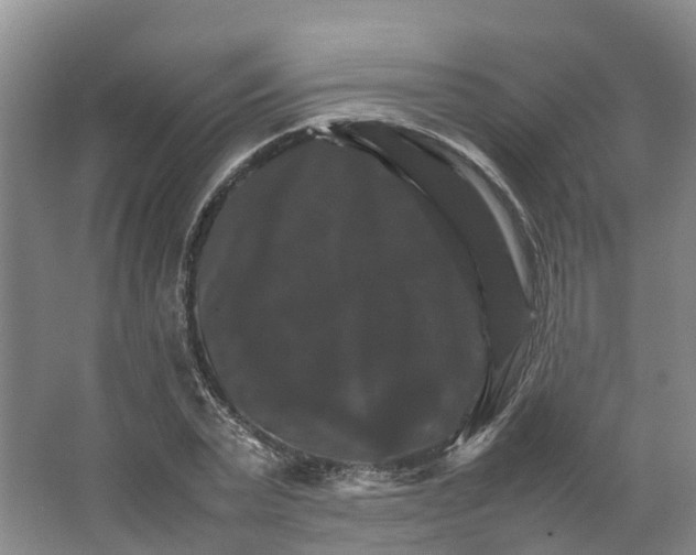 X0000066540783200604141904