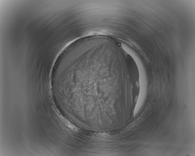 X0000066540784200604141904