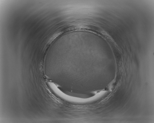 X0000066540785200604141904