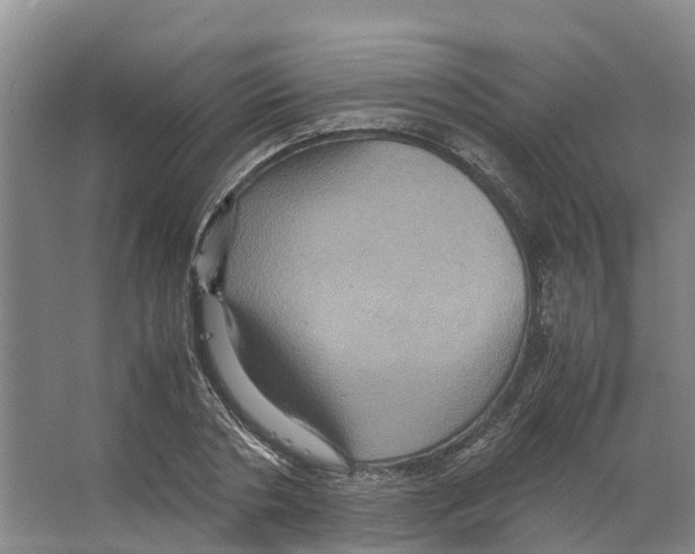 X0000066540786200604141904