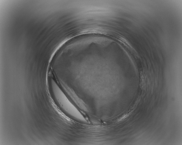 X0000066540788200604141904