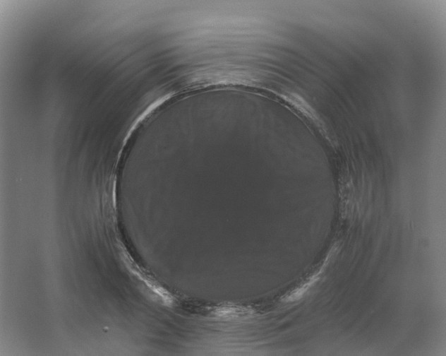 X0000066540790200604141904