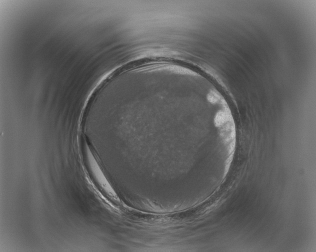 X0000066540791200604141904