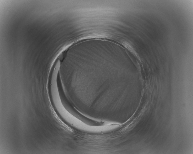 X0000066540797200604141904