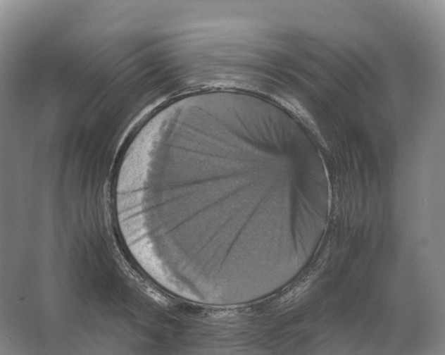 X0000066540798200604141904